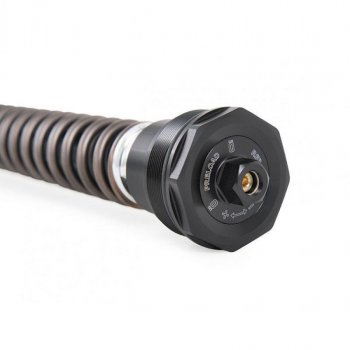 Cartridge fork Öhlins Nix 30mm Street Harley Davidson CVO Road Glide (2023 until now)