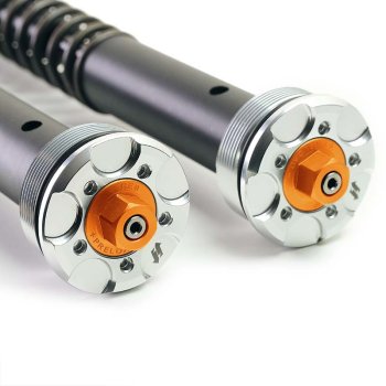Fork Cartridges for Yamaha MT 09 (2021 until now)