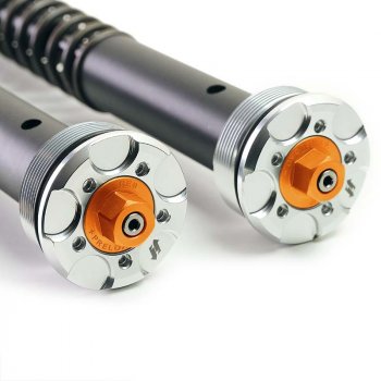 Plug and Play fork cartridges (low version)