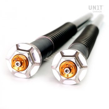 Fork Cartridges for Triumph Scrambler