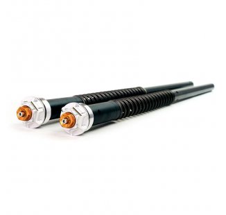 Fork Cartridges for V9 Bobber
