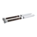 Cartridge fork Öhlins NIX 30 Aprilia RSV 4 (2017-2024)
