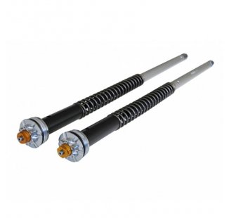 Cartridge fork R1200R