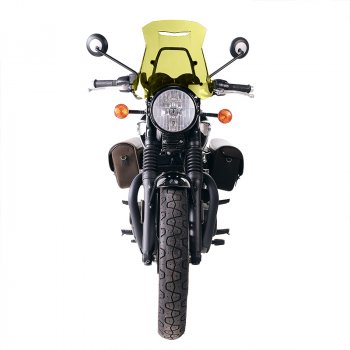 Windshield with GPS support for Triumph Bonneville T100 (2017 until now)