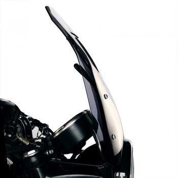 Windshield with GPS support for Triumph Bonneville T100 (2017 until now)