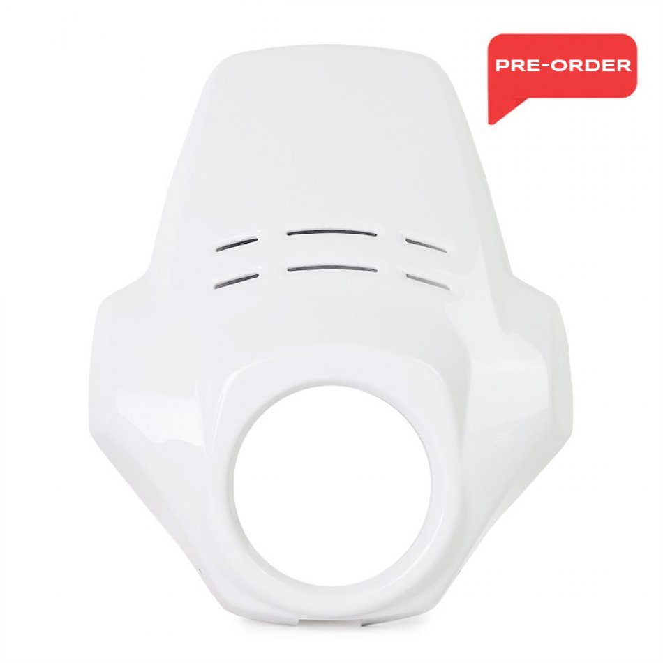 Windshield Fenouil BMW R12 G/S