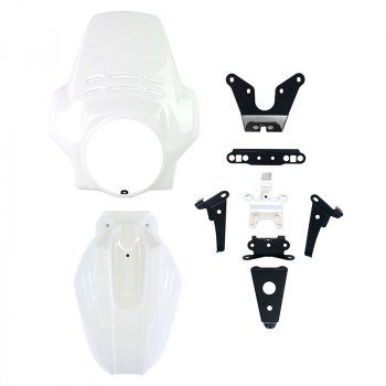 Windshield Fenouil+front fender BMW R12 NineT