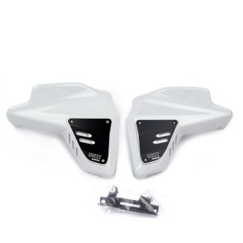 BMW R12 G/S Radiator Side Panels 