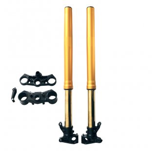 Öhlins 48 mm fork + Plates BMW R12 G/S