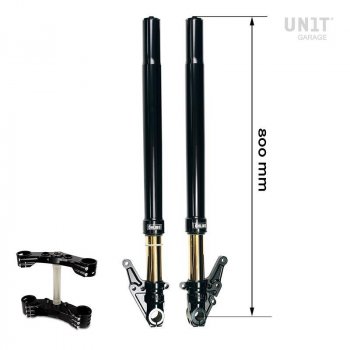 Ohlins USD fork kit + Unit Garage triple clamp