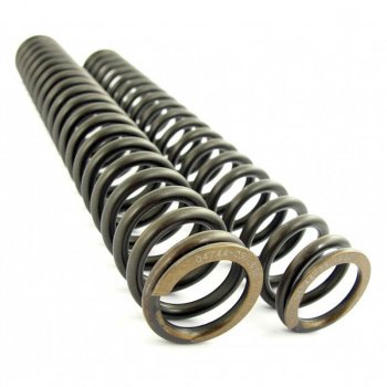 Front suspension springs Ohlins MT 09