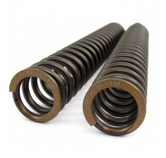 Front suspension springs Ohlins MT 09