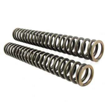 Front suspension springs Ohlins MT 09