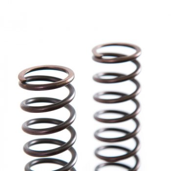 Front suspension springs Triumph