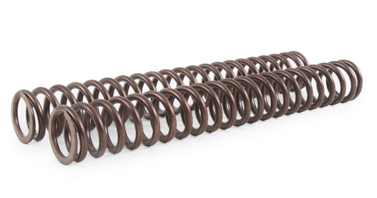 Front suspension springs Triumph (20002012)