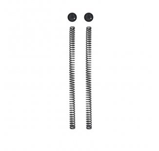 Öhlins kit with 2 plugs and 2 springs Royal Enfield Himalayan 450 (2024)