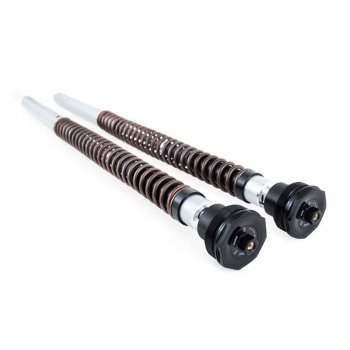 Ohlins Fork Cartridges NIX30A