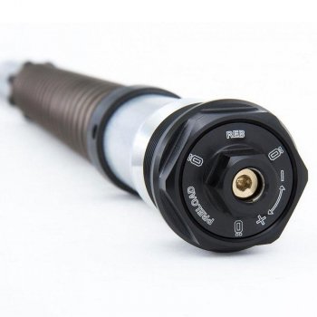 Ohlins Fork Cartridges Nix 22