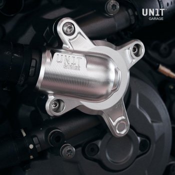 Ducati V2 water pump protection