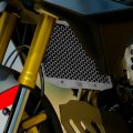 BMW F450GS Radiator Protection