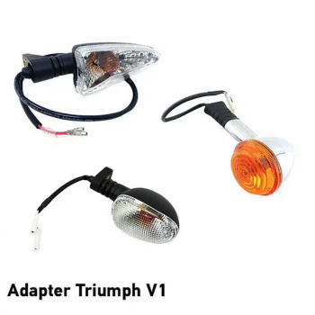 Triumph Indicators Union Mini 3in1 (pair)